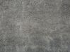 Koberec shaggy 80 x 150 cm světle šedý EVREN_758703