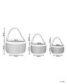Set of 3 Seagrass Baskets Natural ARAPAIMA_824878