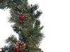 Pre-Lit Snowy Christmas Wreath ⌀ 60 cm Green PAIMIO_813301