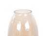 Glass Flower Vase 22 cm with Crackle Effect Light Beige LIKOPORIA_838161