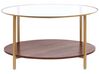 Glass Top Coffee Table with Shelf Gold with Dark Wood LIBBY_824314