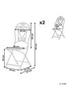 Zestaw 2 krzeseł ogrodowych metalowy zielony TRENTO_774629