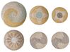 Zestaw 6 dekoracji ściennych z trawy morskiej wielokolorowy BACNINH_885876