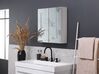 Badeværelsesskab med Spejl og LED 60x60 cm Hvid/Sølv CHABUNCO_811268