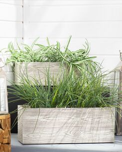 Kukkaruukku savikuituseos valkoinen 54 x 17 x 21 cm PAOS