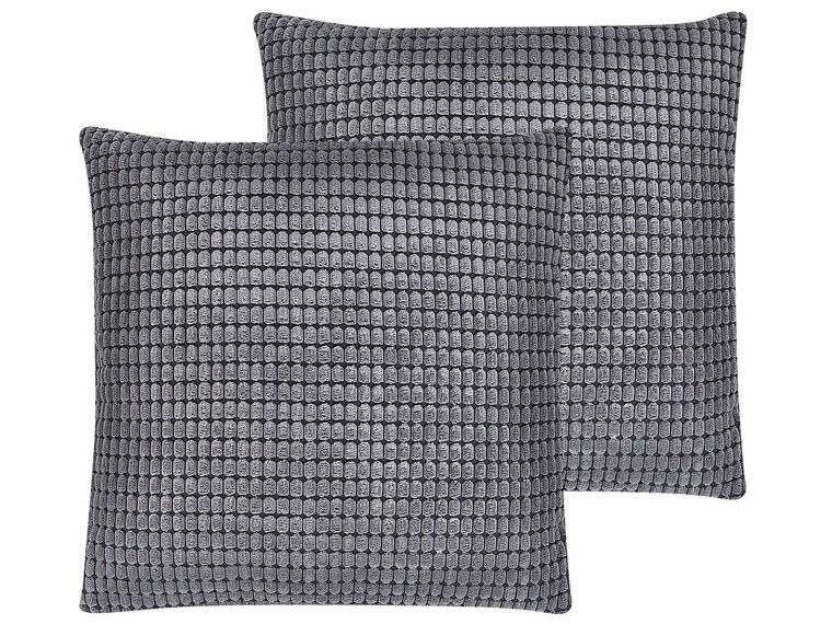 Sada 2 sametových polštářů s geometrickým vzorem 45 x 45 cm šedých ASPIDISTRA_810557