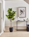 Artificial Potted Plant 162 cm FIG TREE_917212