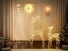 Kerstdecoratie voor buiten LED-verlichting zilver 150 cm HELLA_880616
