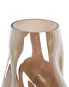 Glass Flower Vase 27 cm Brown IMEROS_838037