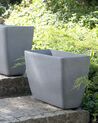 Conjunto de 2 vasos para plantas em pedra cinzenta clara 60 x 27 x 41 cm BARIS_841374