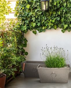 Kukkaruukku tummanruskea 60 x 30 cm 2 kpl PORIA Kukkaruukku tummanruskea 60 x 30 cm 2 kpl PORIA