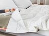 Duck Feathers King Size Duvet Double-Layered All Season 240 x 220 cm TAUFSTEIN _811313