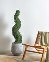 Artificial Potted Plant 120 cm BOXWOOD SPIRAL TREE_901115