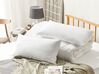 Set of 2 Duck Feathers and Down Bed High Profile Pillows 40 x 80 cm FELDBERG_811422