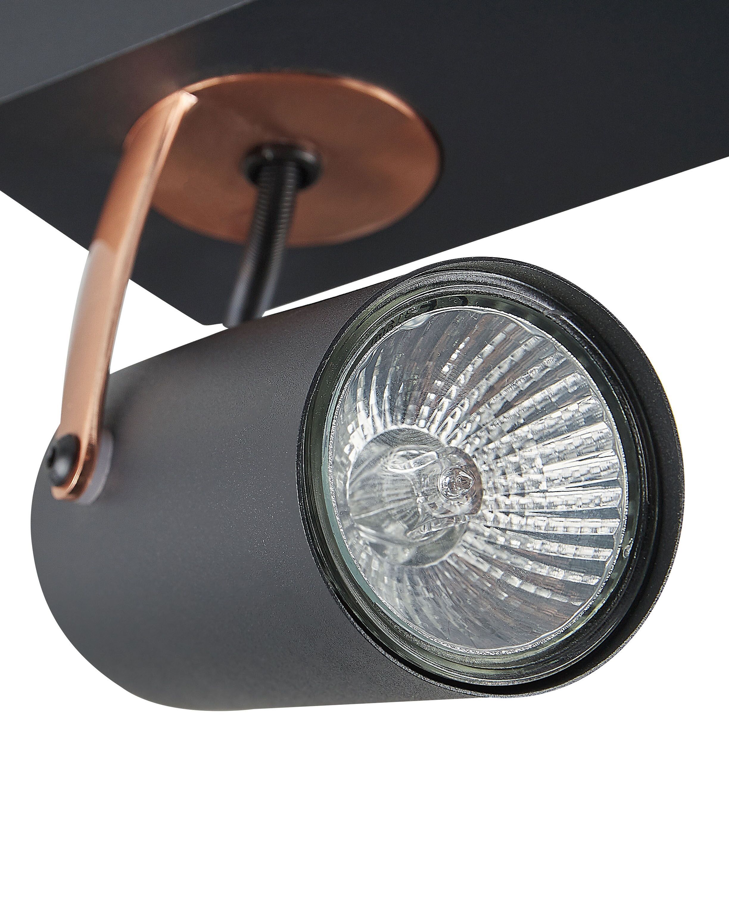 TRIO Madras 2-flammiger Spot Strahler - Metall Silber Antik Mit Holz Dekor