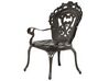 Conjunto de 2 sillas de jardín marrones SAPRI_765661