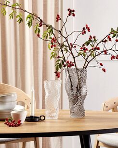 Kukkamaljakko lasi kirkas 23 cm ELATOS