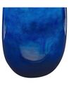 Bloemenvaas blauw terracotta 45 cm VITORIA_847874