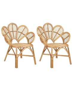 Riikinkukkotuoli rottinki luonnonväri 2 kpl FLORENTINE II