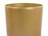 Set di 2 vasi polvere di pietra oro ⌀ 32 cm TSERIA_844436