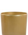 Conjunto de 2 vasos dourados ⌀ 32 cm TSERIA _844436