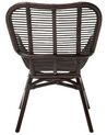 Rattan Accent Chair Brown TOGO_703674