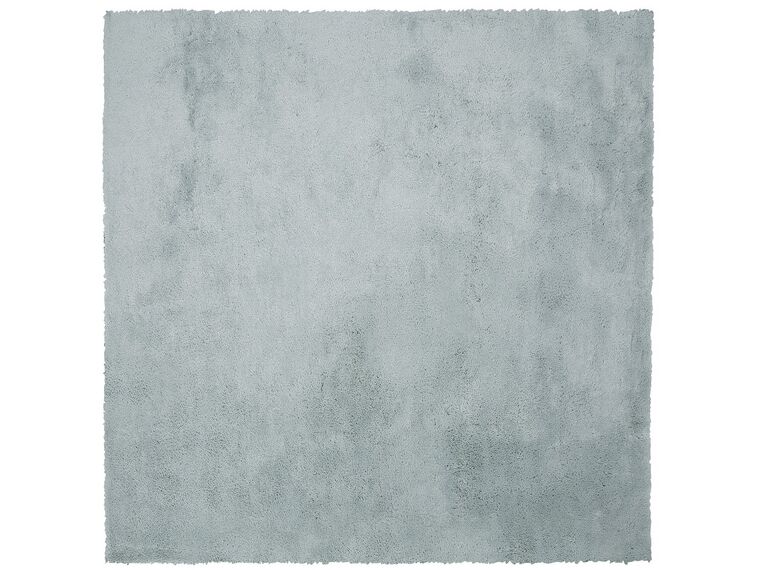 Vloerkleed polyester mintgroen 200 x 200 cm EVREN_758658