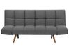 Fabric Sofa Bed Dark Grey INGARO_711888