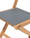 Lot de 2 chaises de jardin pliantes en bois et tissu gris foncé CESANA_716854