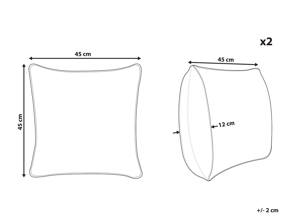 Set di 2 cuscini decorativi in cotone bianco argento 45 x 45 cm FREESIA 