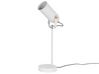 Metal Desk Lamp White TYRIA_772272