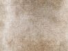 Conjunto de 2 cojines de acrílico marrón claro 45 x 45 cm HORDEUM_822149