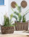 Set of 2 PE Rattan Plant Pot Baskets Brown ORMOS_826538