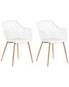 Set of 2 Dining Chairs White NASHUA_775296