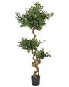 Planta artificial en maceta 166 cm RUSCUS TREE_917262