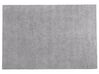 Tapis gris clair 140 x 200 cm DEMRE_683522