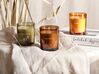 3 Soy Wax Scented Candles Golden Apple / Chocolate / Amber SHEER JOY_874573