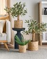 Conjunto 3 cestos para vasos em fibra de jacinto de água cor natural RONQUIL_886402