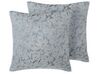 Conjunto de 2 cojines de poliéster gris claro 45 x 45 cm WISTERIA_770268