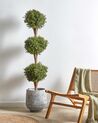 Artificial Potted Plant 154 cm BUXUS BALL TREE_901279