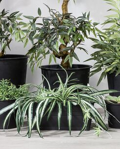 Altakasteluruukku muovi musta ⌀ 42 cm 3 kpl BALZO Altakasteluruukku muovi musta ⌀ 42 cm 3 kpl BALZO