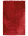Vloerkleed polyester rood 200 x 300 cm EVREN_758879
