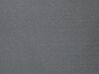Tonnelle de jardin carrée gris graphite 300 x 400 cm COLOS_778650