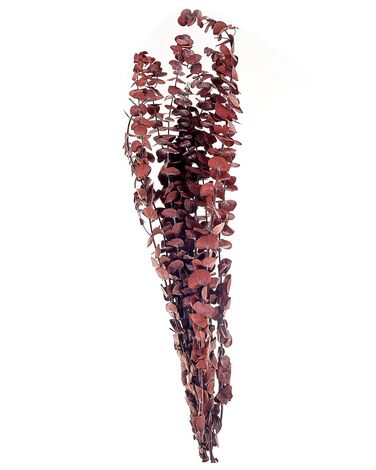 Droogbloemen boeket 56 cm donkerrood BADAJOZ