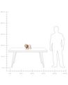 Lampe de table bois clair en forme de chien DOUCE_860750