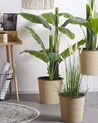 Plante artificielle bananier 154 cm avec pot BANANA TREE _774225