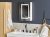 Kúpeľňová zrkadlová skrinka na stenu s LED osvetlením 40 x 60 cm biela MALASPINA_785571