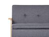Canapé-lit en tissu gris TJORN_813508