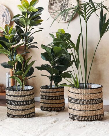 Set of 3 Seagrass Plant Pot Baskets Natural and Black RASBORA