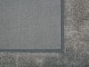Koberec shaggy 80 x 150 cm světle šedý EVREN_758700